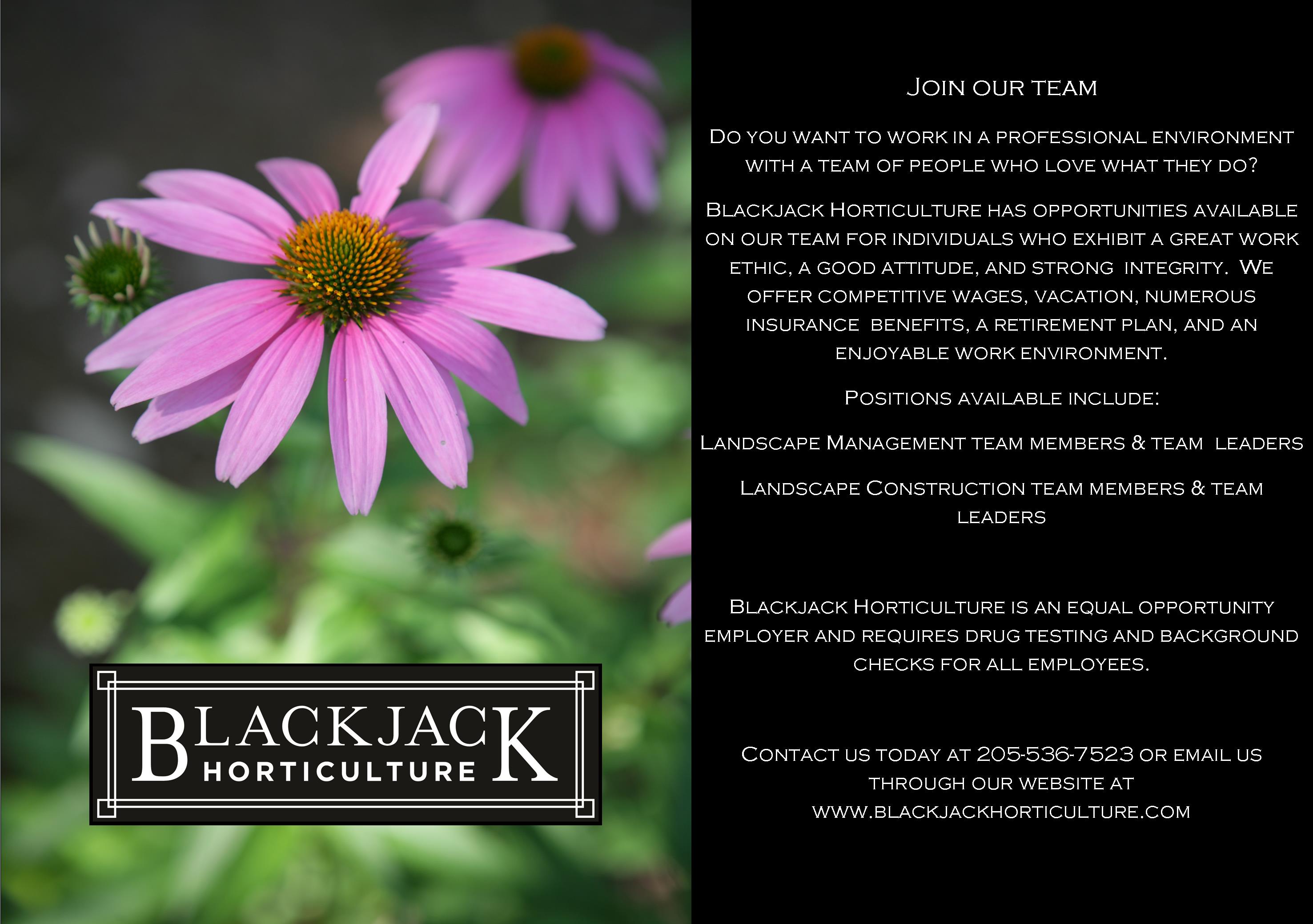 Join Our Team! Blackjack Horticulture